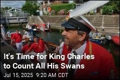 So Now, King Charles Is Going to Count All His Swans