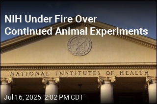 NIH Under Fire Over Continued Animal Experiments
