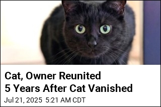 Owner Reunited With Missing Cat 5 Years Later