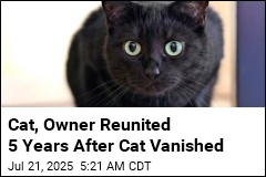 Owner Reunited With Missing Cat 5 Years Later