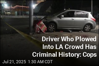 Driver Who Plowed Into LA Crowd Has Criminal History: Cops