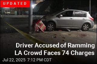 Driver Who Plowed Into LA Crowd Has Criminal History: Cops