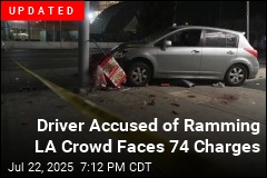 Driver Who Plowed Into LA Crowd Has Criminal History: Cops