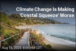 Climate Change Is Making &#39;Coastal Squeeze&#39; Worse