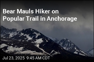 Bear Mauls Hiker on Popular Trail in Anchorage