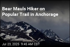 Bear Mauls Hiker on Popular Trail in Anchorage