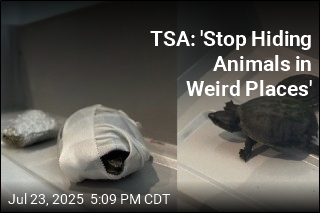 TSA: &#39;Stop Hiding Animals in Weird Places&#39;