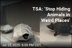 TSA: &#39;Stop Hiding Animals in Weird Places&#39;