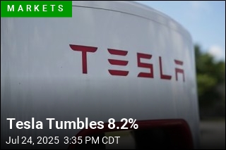 Tesla Tumbles 8.2%