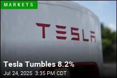 Tesla Tumbles 8.2%