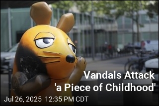 Vandals Attack &#39;a Piece of Childhood&#39;