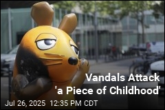 Vandals Attack &#39;a Piece of Childhood&#39;