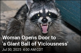 Woman Opens Door to &#39;a Giant Ball of Viciousness&#39;