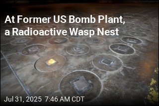 At Former US Bomb Plant, a Radioactive Wasp Nest