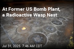 At Former US Bomb Plant, a Radioactive Wasp Nest
