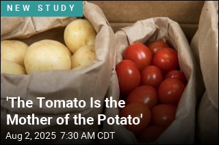 &#39;The Tomato Is the Mother of the Potato&#39;