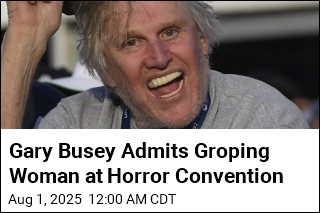 Gary Busey Admits Groping Woman at Horror Convention