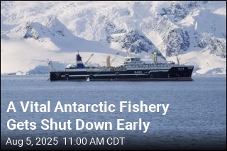 Antarctic Krill Fishery Shut Down Early