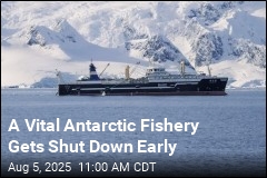 Antarctic Krill Fishery Shut Down Early