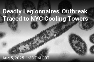 2 Dead Legionnaires&#39; Outbreak in NYC