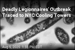 2 Dead Legionnaires&#39; Outbreak in NYC