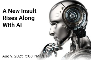 A New Tech Insult Emerges in the Age of AI
