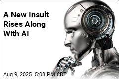 A New Tech Insult Emerges in the Age of AI
