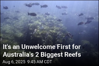 Great Barrier Reef Sees Most Extensive Bleaching Yet
