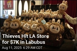 Thieves Hit LA Store for $7K in Labubus