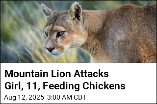 Mountain Lion Attacks Girl, 11, Feeding Chickens