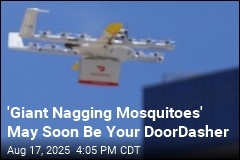 DoorDash Deliveries by Drone May Get Here Sooner