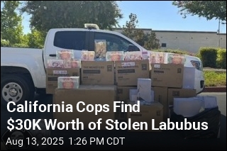 California Cops Find $30K Worth of Stolen Labubus
