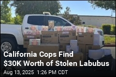 California Cops Find $30K Worth of Stolen Labubus