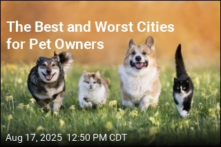 The Best and Worst Cities for Pet Owners
