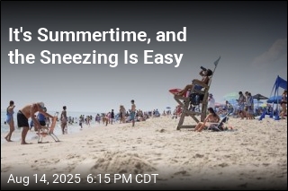 It&#39;s Summertime, and the Sneezing Is Easy
