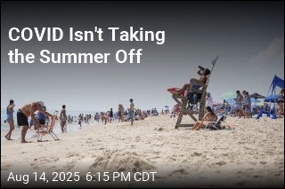 It&#39;s Summertime, and the Sneezing Is Easy