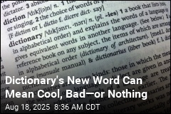 Dictionary&#39;s New Word Can Mean Cool, Bad&mdash;or Nothing