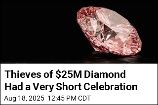 Thieves Who Lifted $25M Rare Gem Busted in No Time