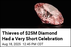 Thieves Who Lifted $25M Rare Gem Busted in No Time