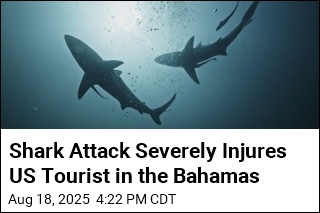 Shark Attack Injures US Tourist in the Bahamas