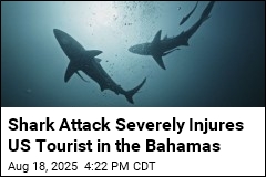 Shark Attack Injures US Tourist in the Bahamas