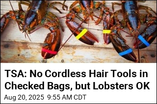 TSA: No Cordless Hair Tools in Checked Bags, but Lobsters OK