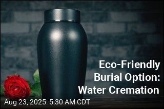 Eco-Friendly Burial Option: Water Cremation