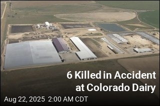 6 Killed in Accident at Colorado Dairy