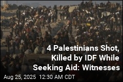 4 Palestinians Shot, Killed by IDF While Seeking Aid: Witnesses