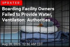 21 Dogs Found Dead at Boarding Facility