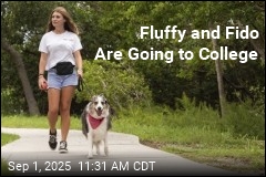 Hanging Out on College Campuses: Students&#39; Pets