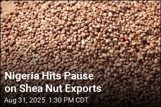 Nigeria Hits Pause on Shea Nut Exports