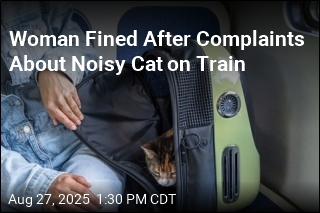 Cat&#39;s Loud Meows on Train Land Owner $130 Fine