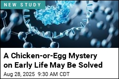 How Simple Chemistry May Have Sparked Life on Earth